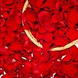 Petalos de Rosa Naturales Regalos San Valentin,Pétalos de Rosas Propuestas de Matrimonio y Compromiso,Flores Regalo Mujer Pareja Novia,Rosa Eterna Decoración para Aniversario y Boda Navidad Cumpleaños