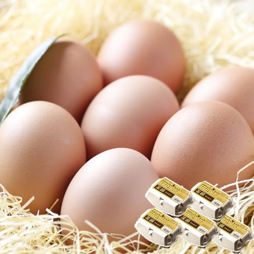 コロンブスの茶卵 生臭くないおいしい卵 6個入×5P たまご 玉子 鶏卵 生卵 生たまご 卵かけご飯 /