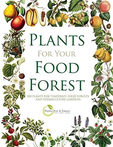 PLANTS FOR YOUR FOOD FOREST: 500 PLANTS FOR TEMPERATE FOOD FORESTS AND PERMACULTURE GARDENS