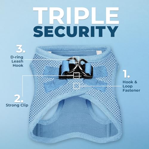 Best Pet Supplies 207T-BBW-M Voyager Step-In Air Dog Harness - All Weather Mesh, Reflective, No Pull Harness For Small, Medium Dogs, Cats thumb #1