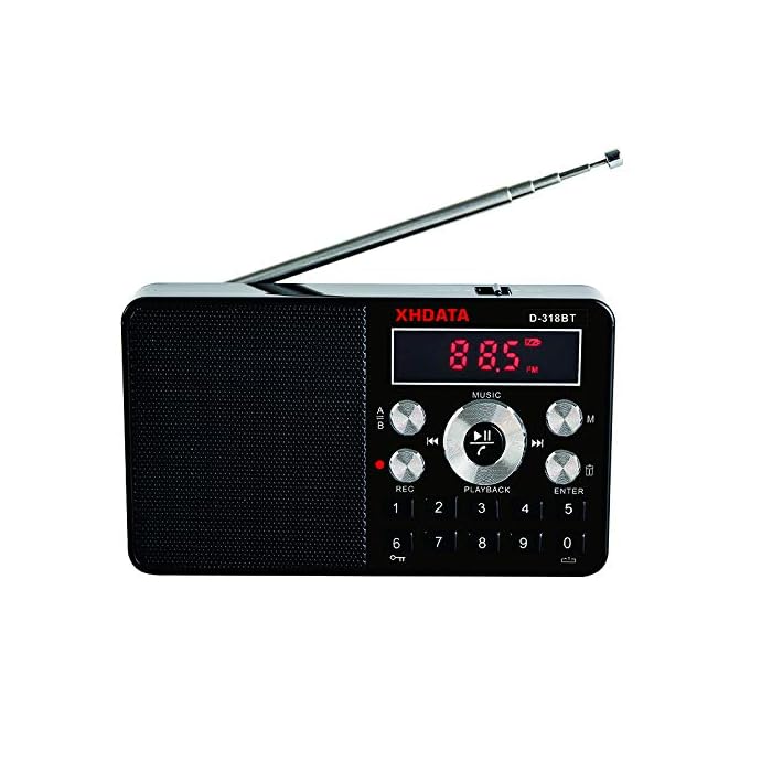 Buy XHDATA D318BT MP3 Player, Portable Radio, FM Radio, Bluetooth
