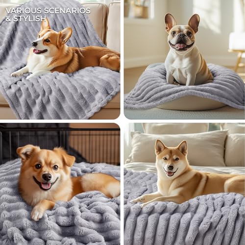 luciphia Hundedecke Katzendecke Waschbar, 1 Pack 3 Decken Flanell für Kleine Mittlere Größe Hunde Katzen, Flauschig Weiche Warme Fleece Haustier Decke für Unterwegs Kuschel Grau 45 x 75 cm