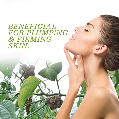 Sacha Inchi Oil - Amazon Oil - Sacha Inchi Seeds Oil - Organic Hair Oil - Superfood Oil - Organic Cold Pressed Oil - Sacha Inchi Protein Oil - Sacha Inchi Nut - Amazon Therapeutic Laboratories - 8.5Oz #TOP3