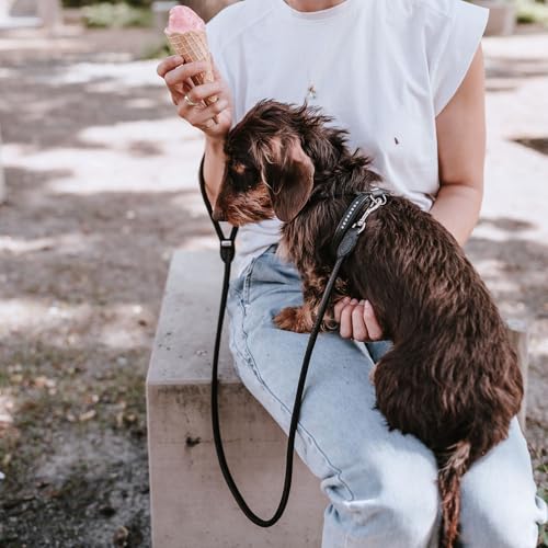 Hunter Hundegeschirr Round & Soft Canadian UP, Farbe: schwarz, weiches, geschmeidiges Leder, rundgenäht, fellschonend, nachhaltig, Made in Germany, Größe: S-M