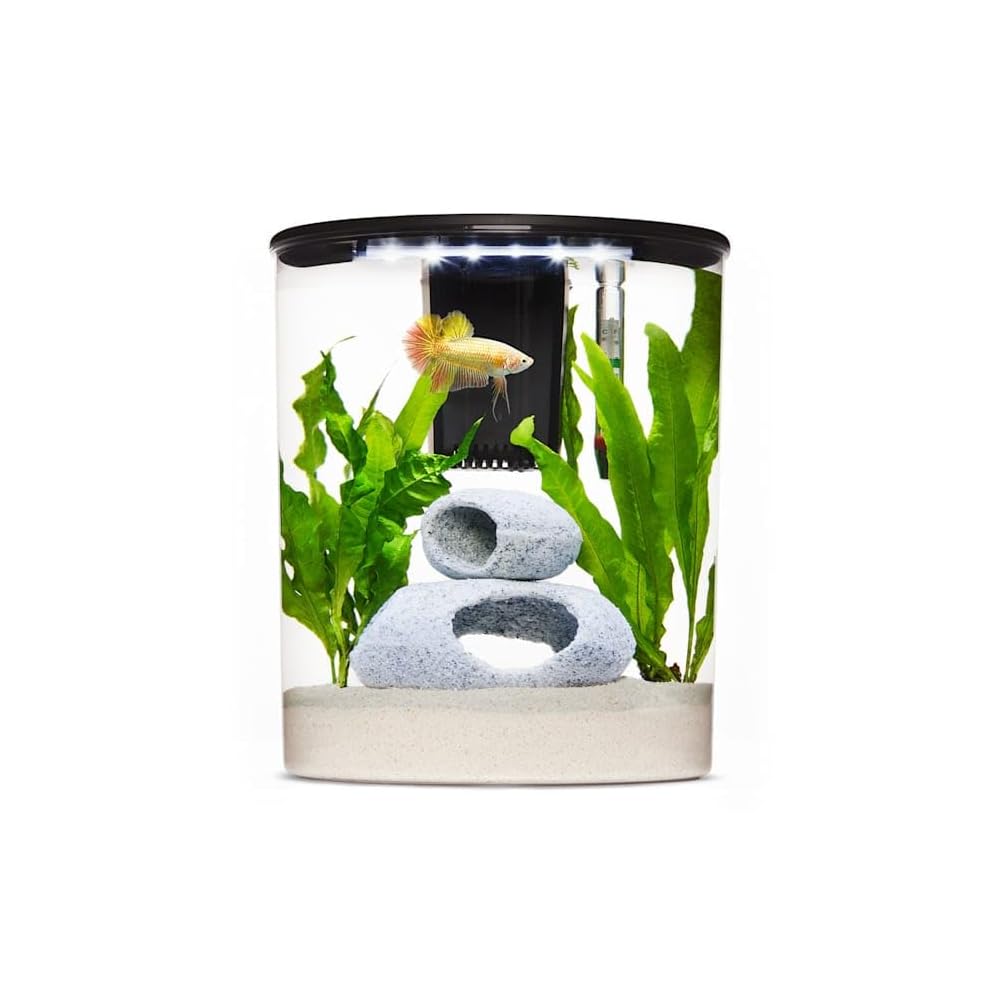 imagitarium Plastic HalfMoon Betta Aquarium 2.5 Gallon in Nepal at NPR