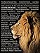 Lion of Judah (Names of Christ) Wall Chart: Names of Christ (Charts)