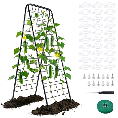 WAENLIR 50x17inch Cucumber Trellis Tomato cage with Dense Steel GridA-Frame Heavy Duty Metal Trellis for Raised Beds Cattle Panels for Garden Trellis for Climbing Plants Outdoor (Black 50x17inch)