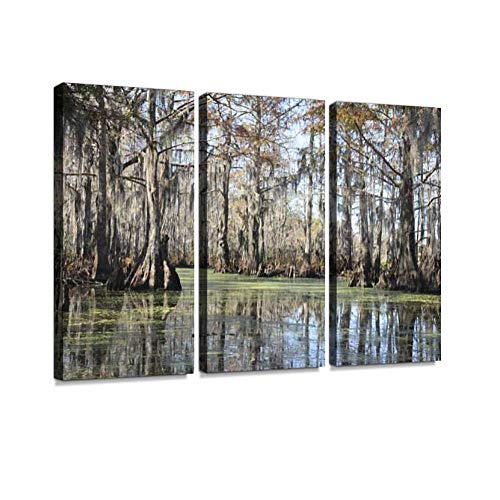 Haben Artwork Bayou In New Orleans Cypress Tree Swamp Print On Canvas Wall Artwork Modern Photography Home Decor Unique Pattern Stretched And Framed 3 Piece #TOP18