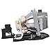 Générique Huaute BL-FU190D SP.8TM01GC01 Ersatzprojektoren, geeignet für Optoma DAWSZUST/DAXSZUST/ GT760 GT760A W303ST W305ST X305ST Projektoren