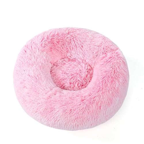 ybgxbh L  NbV ی^ h[icxbh ӂӂ ybg}bg 􂦂 ~ߕt g xbh  ۉ h Lzc _炩 ^ ^ ^ LQ 傫 Lxbh ~p ʋC ˂ lRxbh ΍ 킢