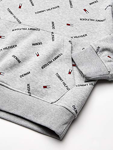 Image of Tommy Hilfiger Men's THD Hoodie Sweatshirt