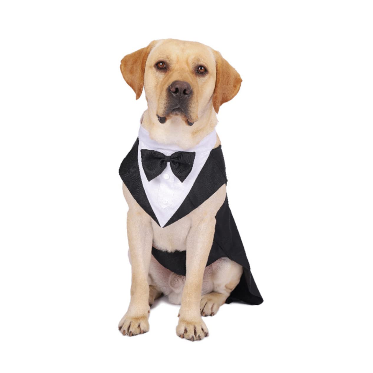 BESPORTBLE 3 Pz smoking per animali domestici costume animale abito da sposa per animali domestici giubbotto cane giacca cane smoking per cani abbigliamento per animali domestici cotone