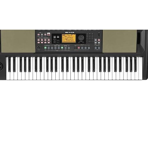 KORG 61 Keys Electronic Keyboard EK-50IN, Black : Amazon.in