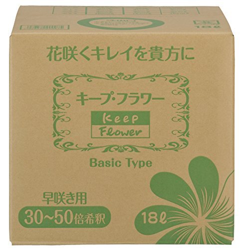 tW{ Ɩp L[vEt[ 18L ؉ԉ