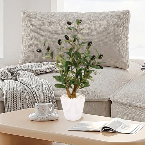 Reviews y listado de Bonsai olivo favoritos de las personas. 3 Imagen adicional