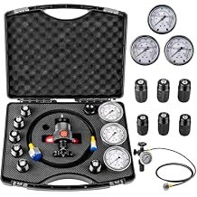 Hydraulic Nitrogen Accumulator Charging Kit, Nitrogen Fill Kit, Nitrogen Pressure Test System, Gas Charge Tools with 7 Couplings, 3 Gauges 1500PSI /4000PSI/ 6000PSI, and 1 Gas Hose