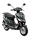 Produktbild City Roller 4-Takter GMX 550 Mofa ohne Führerschein wenn vor 1.4.1965 geboren Moped 25 km h / Mofaroller Schwarz 2,4 KW / 3,3 PS / Luftgekühlt / Alufelgen / Gepäckträger / Scheibenbremse / Motorroller Teleskopgabel Hydraulisch / Scooter ab 15 Jahren