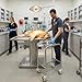 Veterinary Stainless Steel Basin Stand with Removable Bowl – Mobile Animal Clinic Utility Stand with Wheels, Ideal for Pet Hospital, Vet Surgery, Grooming Use
