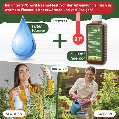 GiBoQ Neemöl [250] ml – 100% natürliches Neemöl mit Emulgator für gesunde Pflanzenpflege | Gegen Trauermücken & Blattläuse | Hält Schädlinge fern | Für Garten & Zimmerpflanzen
