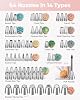 Kootek 158PCs Cake Decorating Kit, Baking Supplies Tools - Includes Cake Stand Turntable, 64 Icing Piping Tips Set, 2 Frosting Spatulas, 3 Scrapers, 50+2 Pastry Bags, Coupler, Video Tutorial, Booklet #2