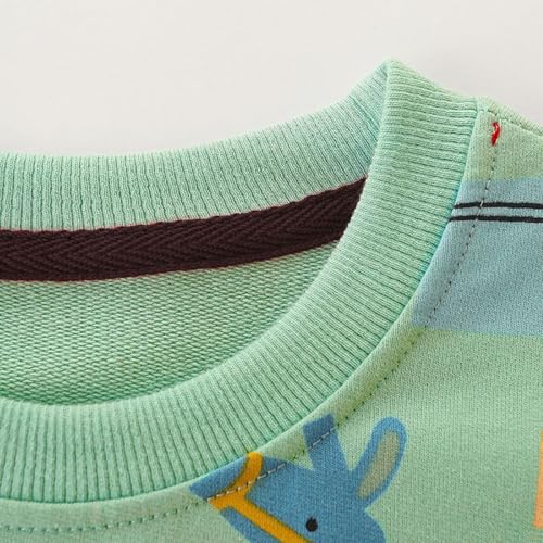 Boys Sweatshirts Casual Sweatshirts Cotton Sweatshirts Long Sleeve T-shirts Crew Neck Cartoon Tops for Boys-4073