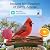 SV3C Bird Feeder with Camera Solar Powered, Smart Camera Bird Feeder with AI Identify BirdSpecies, Instant Alerts, 2K HD Video, Various DIY Addons, 2.4G WiFi, Gift for Mom Dad and Birdlover (Green)