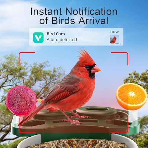 Smart WiFi Pet Feeding Station