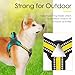 ThinkPet No-Pull Geschirr, Ausbruchsicheres Reflektierendes Step-in Hundegeschirr, Verstellbares Atmungsaktives Geschirr, mit hinterem/vorderem Clip für bessere Kontrolle