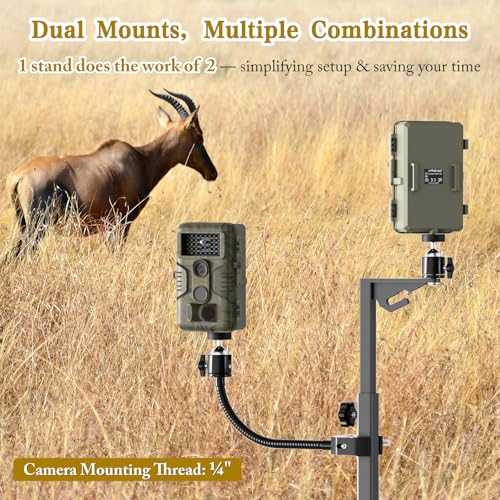 SDSNTE Trail Camera Stand Dual Mount, 17-47" Adjustable Height Hunting Accessories Holder, 360 Rotate 1/4" Thread Mount for Game Cam & Solar Panel, Robust Iron Tripod for Outdoor Hunting, No Tree by SDSNTE - Image 3