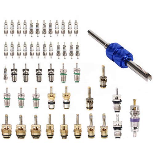 Z&D Valve 61 Pcs Air Conditioning Schrader Cores for Car Home A/C Accessories R12 R134a Refrigeration Tire Stem Core with Double Head Dual Dismantling Remover Installer Tool Assortment Kit