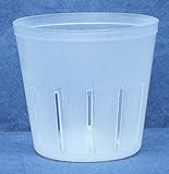 Clear Plastic Pot for Orchids 3 inch Diameter - Quantity 1