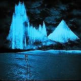 RM Films International