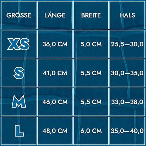 FAVPET Luxus Echtleder Windhund Halsband Breit mit QR Code Anhänger, Weiches Lederhalsband Hund Breit Whippet Italienisches Windspiel Saluki Lurcher Spanischer Galgo Greyhound Podenco (Blau, M)