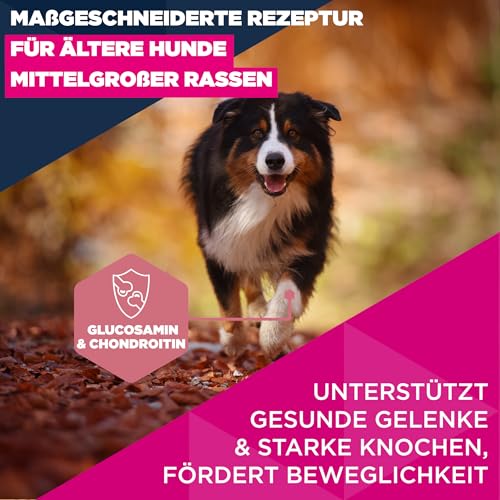 Eukanuba Senior Hundefutter mit frischem Huhn für mittelgroße Rassen, Premium Trockenfutter für ältere Hunde, 15 kg