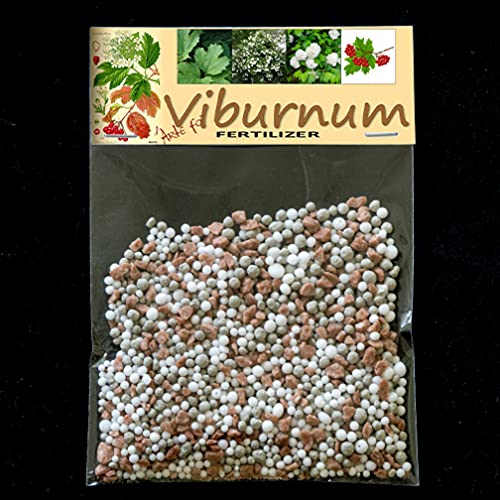 Buy Viburnum NPK Fertilizer opulus"Roseum", Snowball Tree, Quelder
