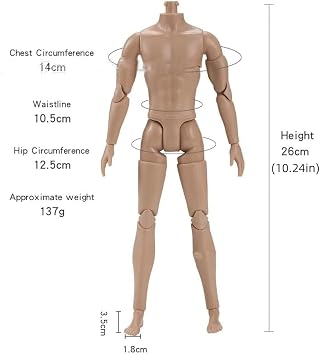 1/6 Scale Action Figures Body Strong Muscle Male Model, Movable Multi-Joints Action Figure(Normal Skin)