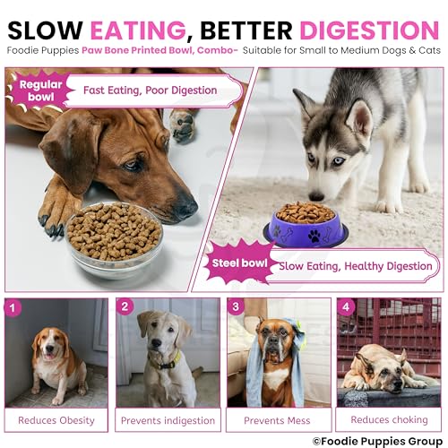 Image of Foodie Puppies Stainless Steel Dog Bowl Combo - (Medium, 700ml) Food and Water Feeding Gift Bowl | Suitable for Dogs, Cats and Other Pets I Paw Bone Print, Anti-Skid Rubber Base (Pink + Purple)