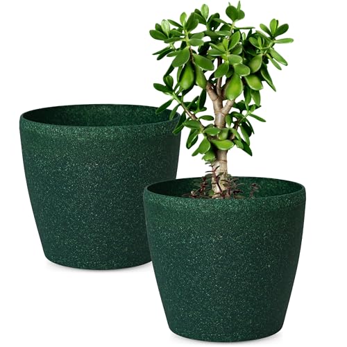 Eha Set of 2 Earth-Friendly Deco 12" Self-Watering pots and Plant...