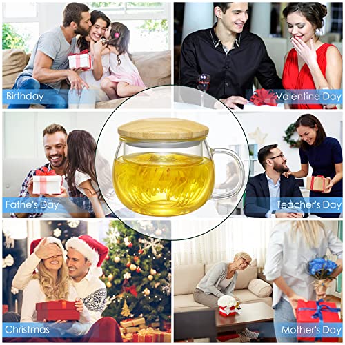 Lezero Glass Tea Infuser Cup Gift Set, 13Oz Glass Teacups With Removable Strainer And Bamboo Lid For Steeping Blooming Tea, Loose Leaf Tea, Lead-Free, Microwave & Dishwasher Safe - For Tea Lovers #TOP3