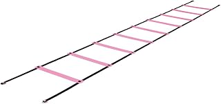 NISHI(ニシ・スポーツ) トレーニング用品 ラダー屋内用 NT…