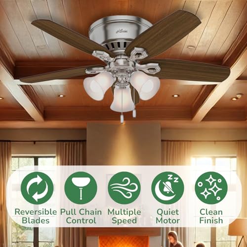 Image of Hunter Builder, Indoor, Ceiling Fan, Pull Chain, 42 inch, Brushed Nickel