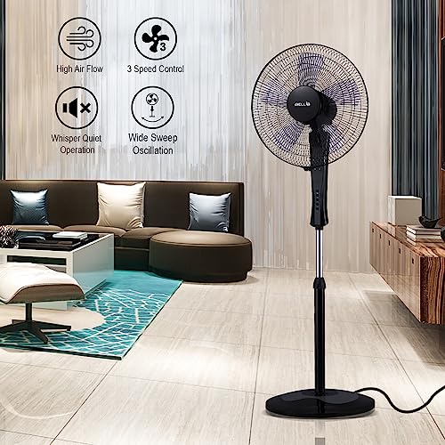 Image of IBELL WINDP10R Pedestal Fan | 5 Leaf High Airflow Design | 3 Speed Modes | Adjustable Height & Tilt | Timer Function | Wide Oscillation | 55W Powerful Floor Fan (Black)