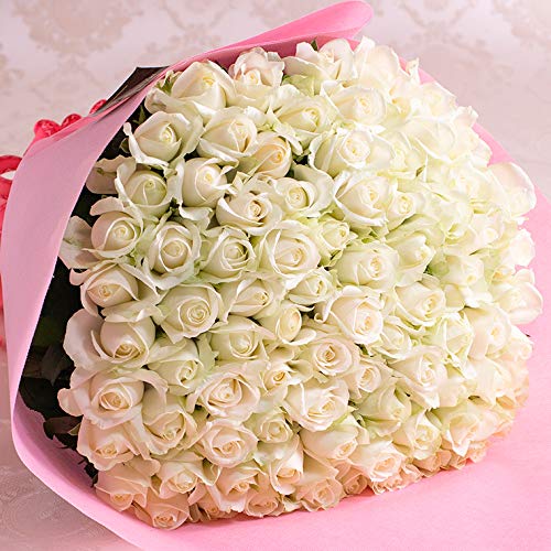 バラギフト専門店のマミーローズ 選べるバラ本数セレクト 還暦祝い 誕生日 プロポーズ 贈り物の豪華なバラの花束(生花) 白 81本