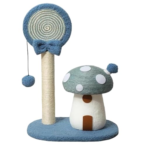 Lbg^[ TCULS mVFfBO s{ nEXEԂLmRfUC  ^LbgNC~Ot[ Lউ x[Xh? \t@یhLS LVуybgpi Lߋ (u[)