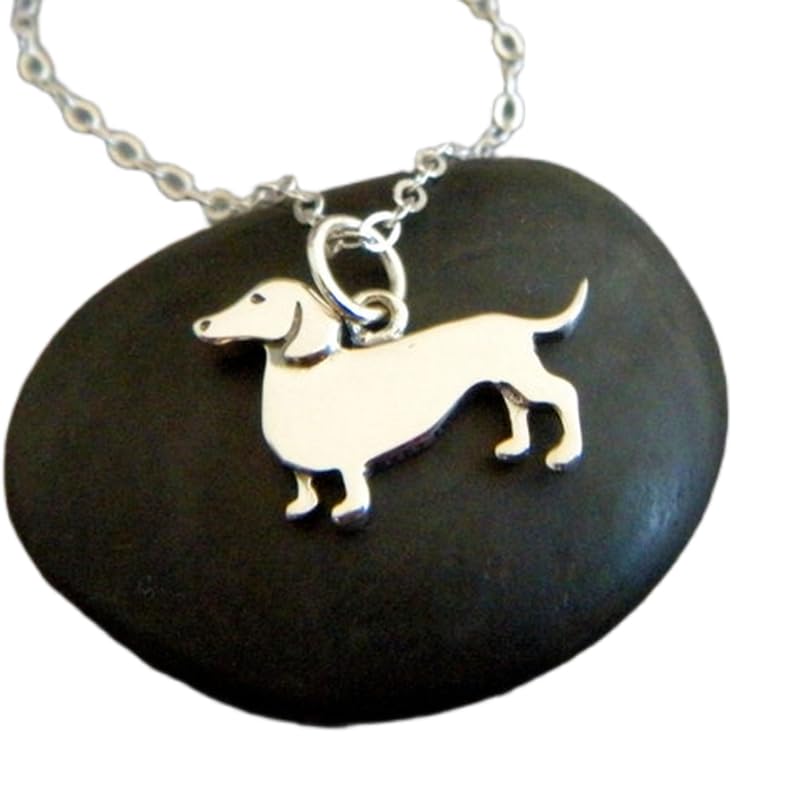 Collar de perro salchicha en plata amor por los animales en un colgante fiel