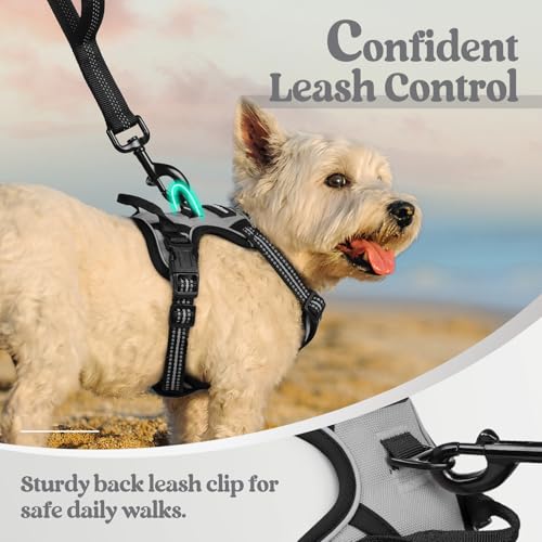 Image of rabbitgoo Dog Harness No Pull with 2 Leash Clips, Adjustable Soft Padded, Reflective Oxford No Choke Pet Vest with Easy Control Handle for Puppy, Grey, XS