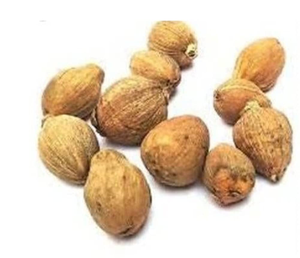 Buy PARAMTATV Original Laghu Coco Sriphal Laghu Nariyel Narikel Narikelam Set of 11