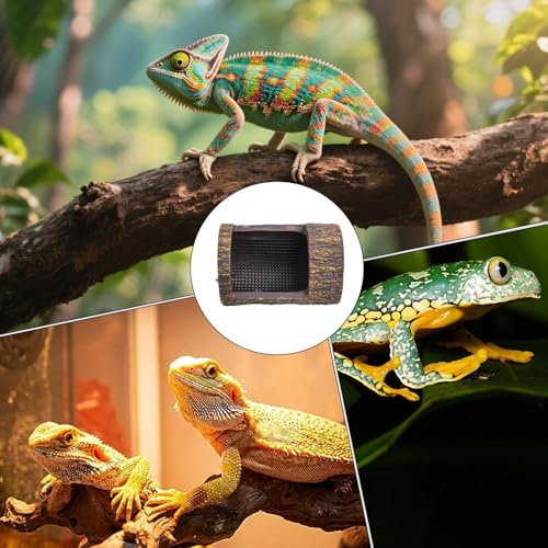 Cuenco de alimentación de reptiles de 6 pulgadas para ranas 7