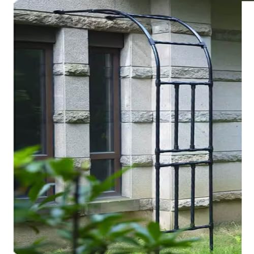 Arche de jardin murale en métal, demi-arches de jardin en acier pour vignes florales, arche de mariage en plein air, pergola robuste en treillis, supports de...