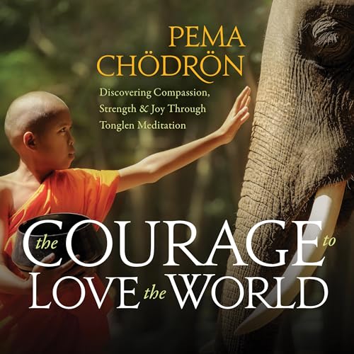 The Courage to Love the World Audiolivro Por Pema Chödrön capa